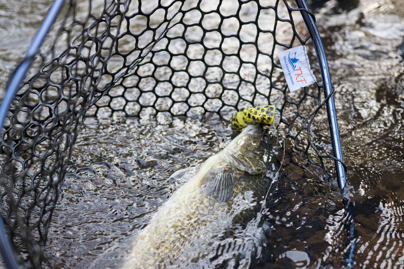 'FOLDAWAY' Large Folding Landing Net
