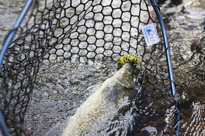'FOLDAWAY' Large Folding Landing Net