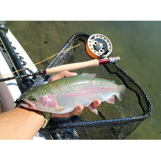'FOLDAWAY' Folding Landing Net