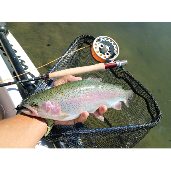 'FOLDAWAY' Folding Landing Net