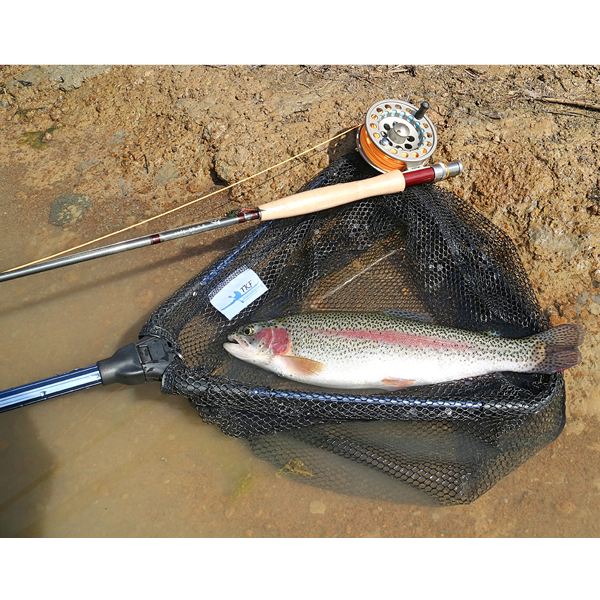 'FOLDAWAY' Folding Landing Net