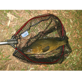 'FOLDAWAY' Large Folding Landing Net