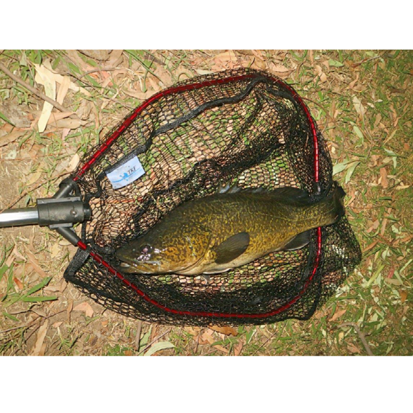 'FOLDAWAY' Large Folding Landing Net